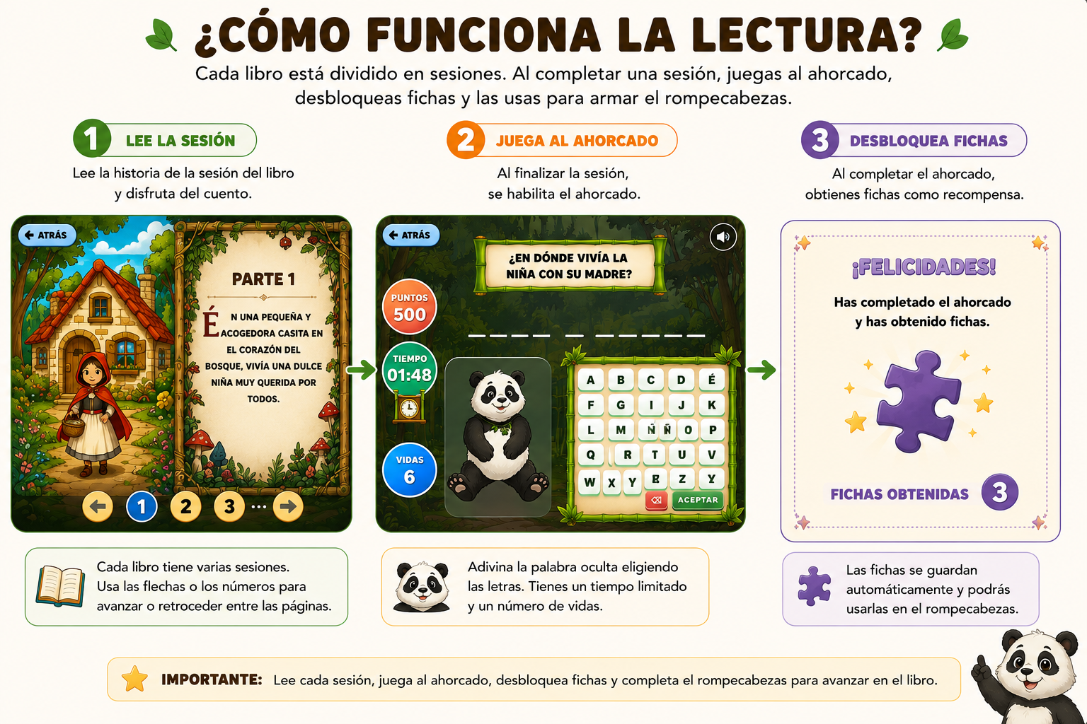 Paso 6